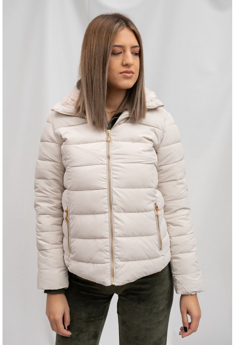 JACKET 2799> JACKET 2799
